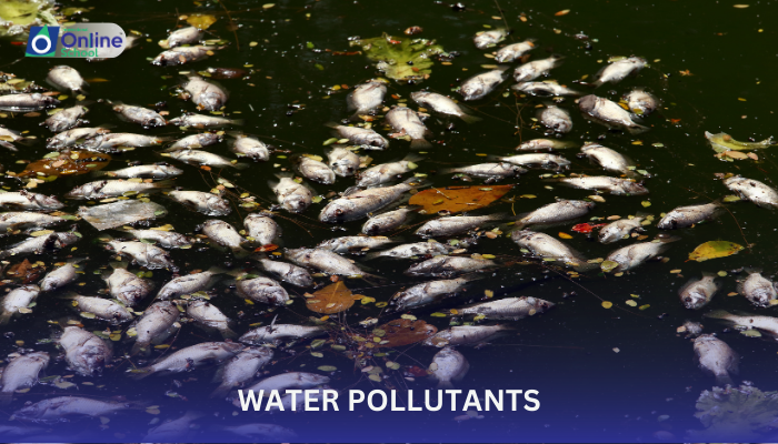 Lesson 06: Water Pollutants